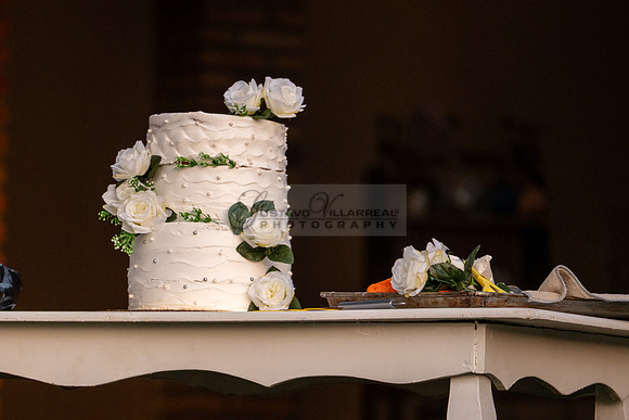 Lalo and Indira wedding, boda en Puga Nayarit Mexico, Gustavo Villarreal Photography, 323-633-8283, www.gustavovillarreal.com
