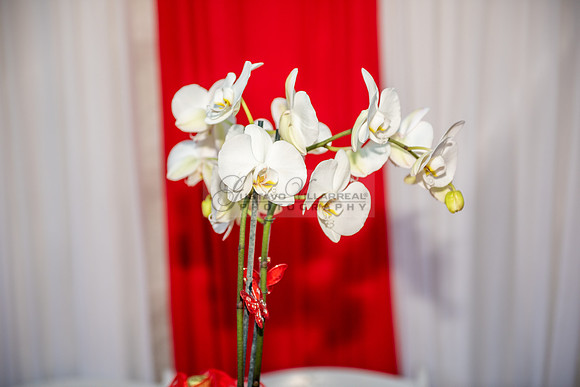 Estephanie Cristal Quinceanera photo shoot ideas, video in Pasadena City Hall in Pasadena Ca. Home reception, 323-633-8283