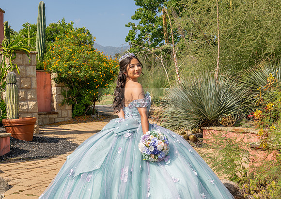 Janelle Ornelas quinceanera photo shoot at the arboretum in Arcadia Ca, Gustavo Villarreal Photography, 323-633-8283, www.gvphotoandvideo.com