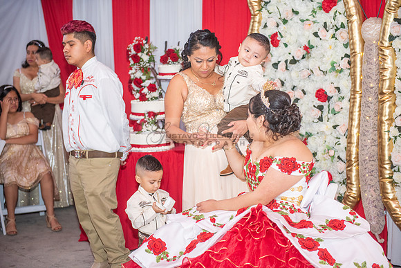Estephanie Cristal Quinceanera photo shoot ideas, video in Pasadena City Hall in Pasadena Ca. Home reception, 323-633-8283