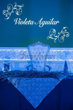 Violeta Noemi quinceanera celebration, photographer , videographer in Hacienda Heights Ca, Montebello Ca, Gustavo Villarreal Photography, 323-633-8283, www.gvphotoandvideo.com