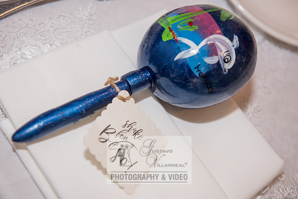 Reina and Adalberto wedding ceremony and reception, photographer