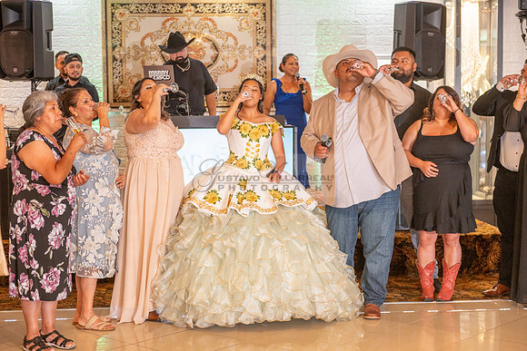 Arianna Tejada quinceanera celebration, photography, videography at Our lady of Guadalupe in El Monte Ca, Fiesta Mexican banquet Hall Montclair Ca, Gustavo Villarreal photo and video, 323-633-8283, ww