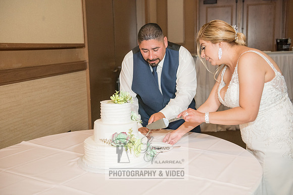 Don and Nancy wedding reception, ceremony,  photographer and vid