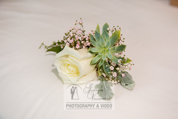Don and Nancy wedding reception, ceremony,  photographer and vid