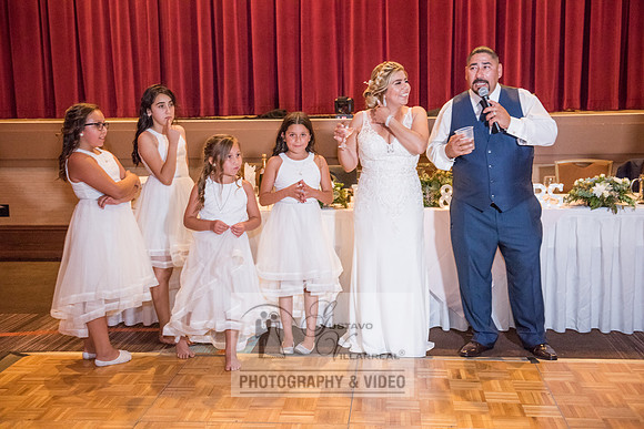 Don and Nancy wedding reception, ceremony,  photographer and vid