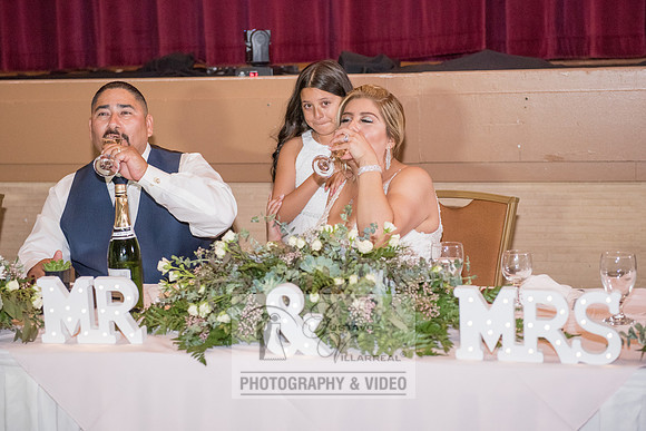 Don and Nancy wedding reception, ceremony,  photographer and vid