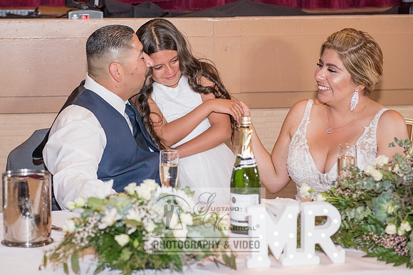 Don and Nancy wedding reception, ceremony,  photographer and vid