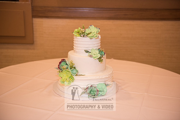 Don and Nancy wedding reception, ceremony,  photographer and vid