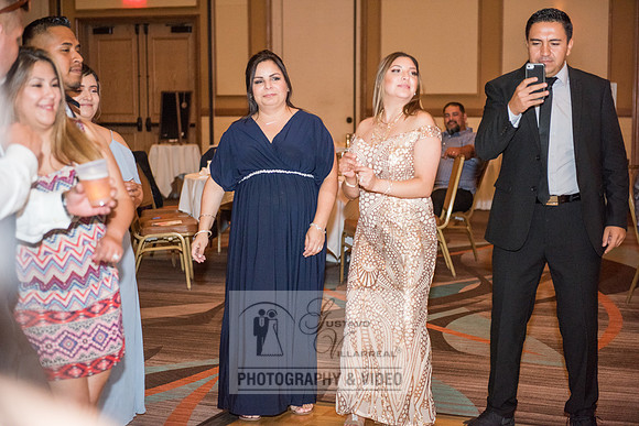 Don and Nancy wedding reception, ceremony,  photographer and vid