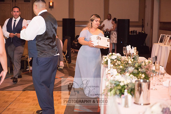 Don and Nancy wedding reception, ceremony,  photographer and vid