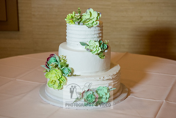 Don and Nancy wedding reception, ceremony,  photographer and vid