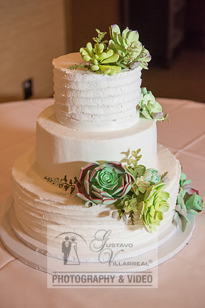 Don and Nancy wedding reception, ceremony,  photographer and vid