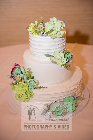 Don and Nancy wedding reception, ceremony,  photographer and vid