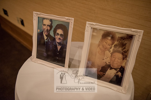 Don and Nancy wedding reception, ceremony,  photographer and vid
