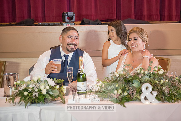 Don and Nancy wedding reception, ceremony,  photographer and vid