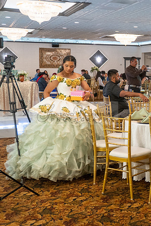 Arianna Tejada quinceanera celebration, photography, videography at Our lady of Guadalupe in El Monte Ca, Fiesta Mexican banquet Hall Montclair Ca, Gustavo Villarreal photo and video, 323-633-8283, ww