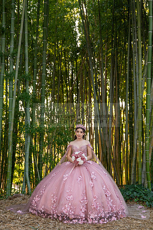 Clarissa Quezada quinceanera photo session at Los Angeles County Arboretum & Botanic Garden in Arcadia Ca. Photos, video by Gustavo Villarreal Photography, 323-633-8283, www.gvphotoandvideo.com