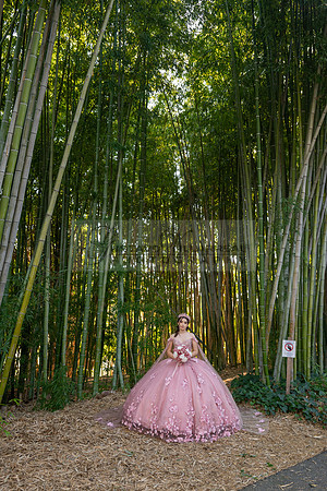 Clarissa Quezada quinceanera photo session at Los Angeles County Arboretum & Botanic Garden in Arcadia Ca. Photos, video by Gustavo Villarreal Photography, 323-633-8283, www.gvphotoandvideo.com