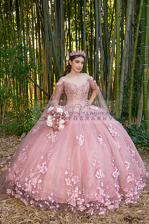 Clarissa Quezada quinceanera photo session at Los Angeles County Arboretum & Botanic Garden in Arcadia Ca. Photos, video by Gustavo Villarreal Photography, 323-633-8283, www.gvphotoandvideo.com