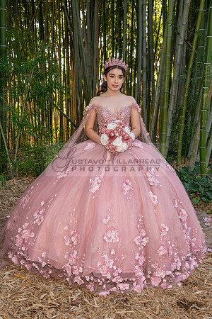 Clarissa Quezada quinceanera photo session at Los Angeles County Arboretum & Botanic Garden in Arcadia Ca. Photos, video by Gustavo Villarreal Photography, 323-633-8283, www.gvphotoandvideo.com
