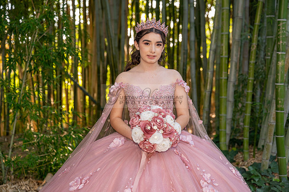 Clarissa Quezada quinceanera photo session at Los Angeles County Arboretum & Botanic Garden in Arcadia Ca. Photos, video by Gustavo Villarreal Photography, 323-633-8283, www.gvphotoandvideo.com