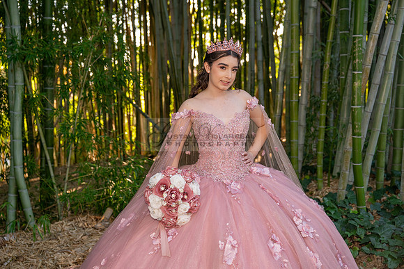Clarissa Quezada quinceanera photo session at Los Angeles County Arboretum & Botanic Garden in Arcadia Ca. Photos, video by Gustavo Villarreal Photography, 323-633-8283, www.gvphotoandvideo.com