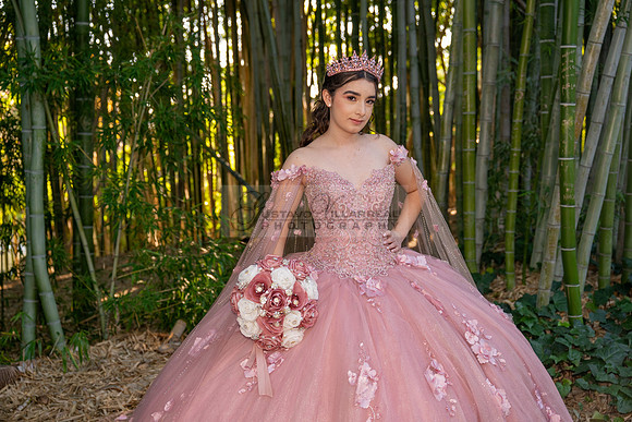 Clarissa Quezada quinceanera photo session at Los Angeles County Arboretum & Botanic Garden in Arcadia Ca. Photos, video by Gustavo Villarreal Photography, 323-633-8283, www.gvphotoandvideo.com