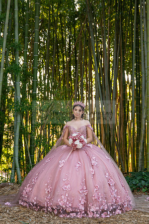 Clarissa Quezada quinceanera photo session at Los Angeles County Arboretum & Botanic Garden in Arcadia Ca. Photos, video by Gustavo Villarreal Photography, 323-633-8283, www.gvphotoandvideo.com
