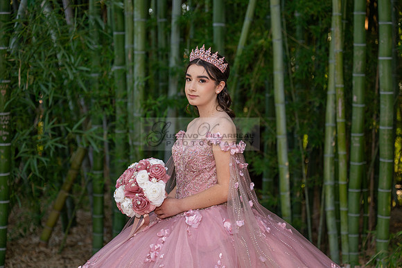 Clarissa Quezada quinceanera photo session at Los Angeles County Arboretum & Botanic Garden in Arcadia Ca. Photos, video by Gustavo Villarreal Photography, 323-633-8283, www.gvphotoandvideo.com