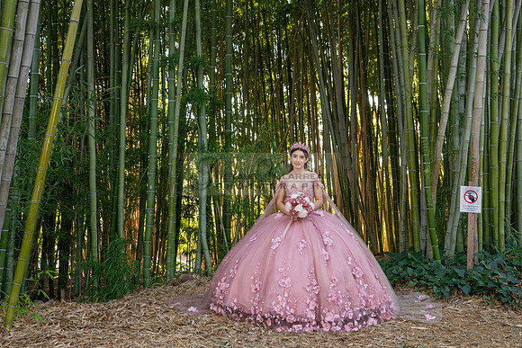 Clarissa Quezada quinceanera photo session at Los Angeles County Arboretum & Botanic Garden in Arcadia Ca. Photos, video by Gustavo Villarreal Photography, 323-633-8283, www.gvphotoandvideo.com