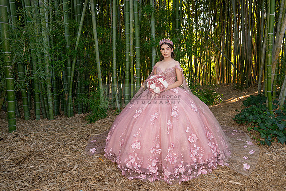 Clarissa Quezada quinceanera photo session at Los Angeles County Arboretum & Botanic Garden in Arcadia Ca. Photos, video by Gustavo Villarreal Photography, 323-633-8283, www.gvphotoandvideo.com