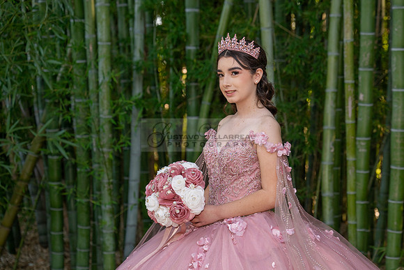Clarissa Quezada quinceanera photo session at Los Angeles County Arboretum & Botanic Garden in Arcadia Ca. Photos, video by Gustavo Villarreal Photography, 323-633-8283, www.gvphotoandvideo.com