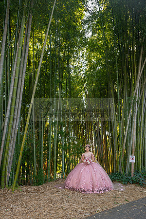 Clarissa Quezada quinceanera photo session at Los Angeles County Arboretum & Botanic Garden in Arcadia Ca. Photos, video by Gustavo Villarreal Photography, 323-633-8283, www.gvphotoandvideo.com