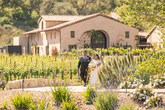 Gabriel and Daisy, LINK #1, wedding, celebration, reception, ceremony at Monserate Winery at Fallbrook Ca, Photography, videography, Gustavo Villarreal, 323-633-8283, www.gustavovillarreal.com
