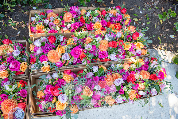 Sophia Cardenas Quinceaneras, weddings photography and video at