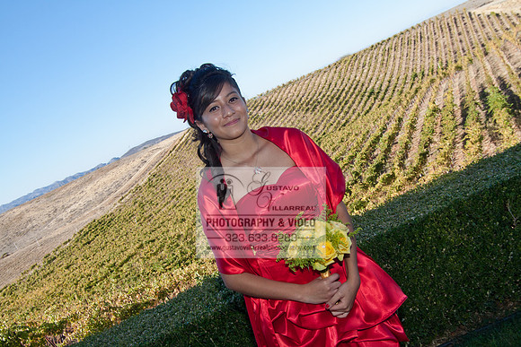 Weddings and Quinceaneras photography and video at, http://www.callawaywinery.com