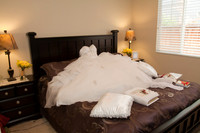 Weddings and Quinceaneras photography and video at, http://www.callawaywinery.com