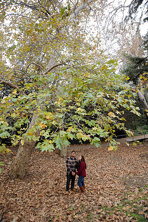 engagement pictures in Los Angeles observatory in Griffith park,