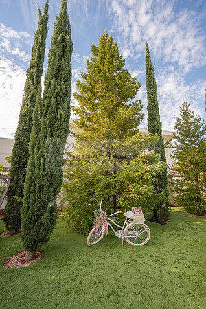 The vineyards weddings, quinceanera and special events, photographer, videographer, Gustavo Villarreal photographer, videographer, 323-633-8283, www.gvphotoandvideo.com