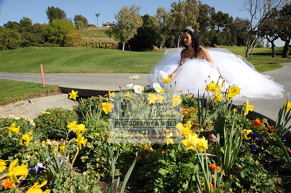 Mariah Quinceanera photoshoot, photographer, videographer, weddings, sweet 16 at Friendly Hills Country Club in Whittier Ca. 323-633-8283