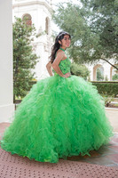 Diana Cordava-quinceanera-sweetsixteens-weddings-family-portrait