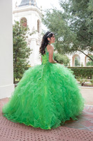 Diana Cordava-quinceanera-sweetsixteens-weddings-family-portrait