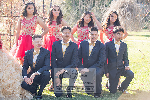 Kailah Mckinney sweet sixteen, quinceaneras, weddings, anniversaries, engagements, family portraits, photography and video at Descanso garden in la cañada flintridge ca, 91011, receptions at casa ver