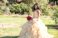 Kailah Mckinney sweet sixteen, quinceaneras, weddings, anniversaries, engagements, family portraits, photography and video at Descanso garden in la cañada flintridge ca, 91011, receptions at casa ver