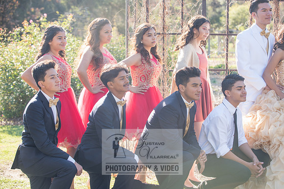 Kailah Mckinney sweet sixteen, quinceaneras, weddings, anniversaries, engagements, family portraits, photography and video at Descanso garden in la cañada flintridge ca, 91011, receptions at casa ver