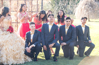 Kailah Mckinney sweet sixteen, quinceaneras, weddings, anniversaries, engagements, family portraits, photography and video at Descanso garden in la cañada flintridge ca, 91011, receptions at casa ver