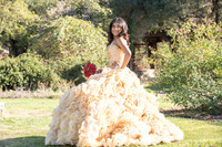 Kailah Mckinney sweet sixteen, quinceaneras, weddings, anniversaries, engagements, family portraits, photography and video at Descanso garden in la cañada flintridge ca, 91011, receptions at casa ver