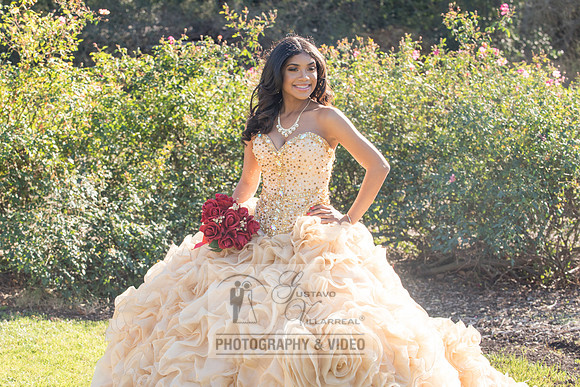 Kailah Mckinney sweet sixteen, quinceaneras, weddings, anniversaries, engagements, family portraits, photography and video at Descanso garden in la cañada flintridge ca, 91011, receptions at casa ver