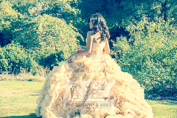 Kailah Mckinney sweet sixteen, quinceaneras, weddings, anniversaries, engagements, family portraits, photography and video at Descanso garden in la cañada flintridge ca, 91011, receptions at casa ver